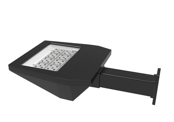 30W - 100W Buiten LED-ruimteverlichting 140m/W IK09 IP66 Voor padweg